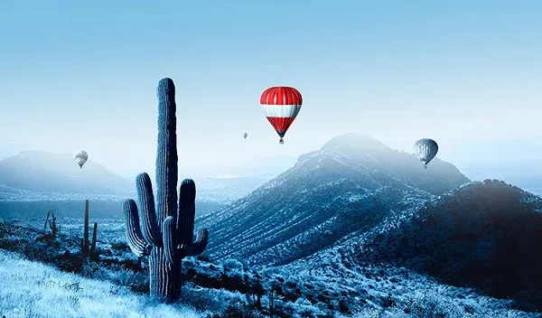 (Flights) - Great Service. Great Value. Great Flying. - pg电子成都站