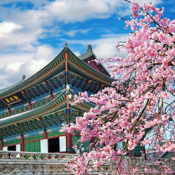 pg电子成都站围绕PG电子不断创新，回应用户的真实需求。 - pg电子成都站