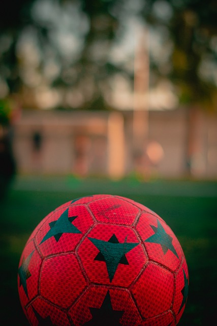 以其擅长的 以其擅长的