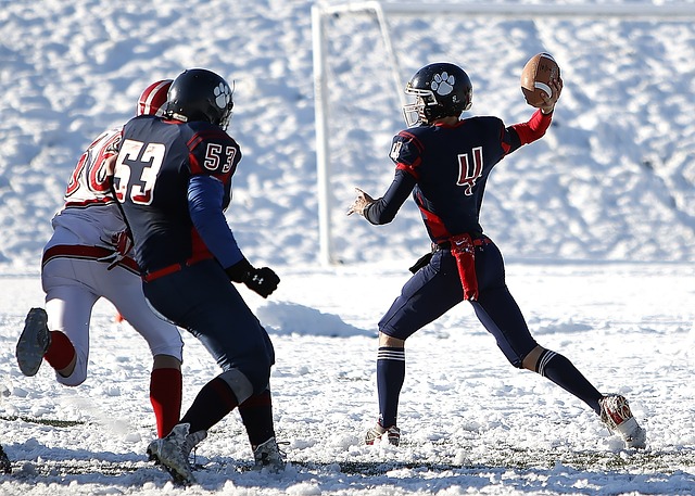 级别赛事 级别赛事