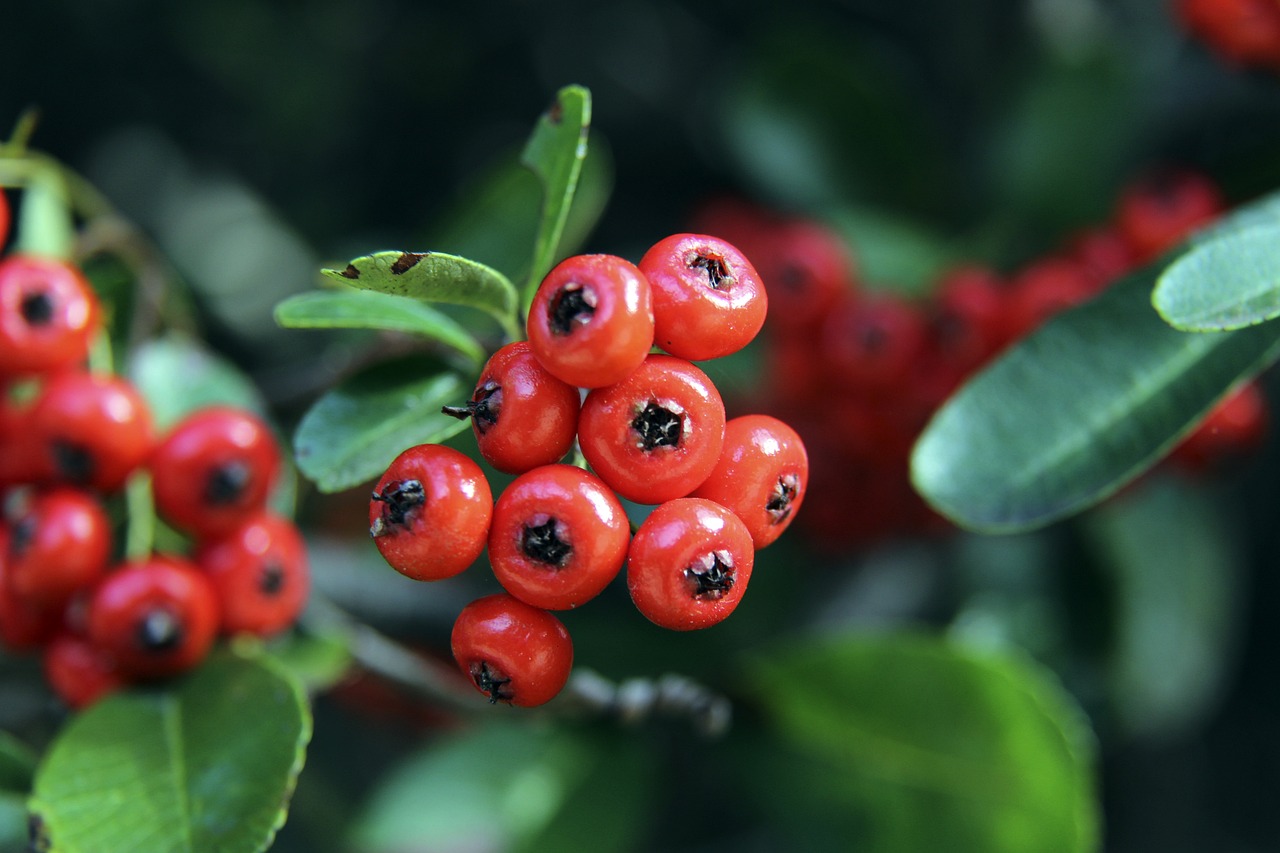 夯实与塞尔 夯实与塞尔