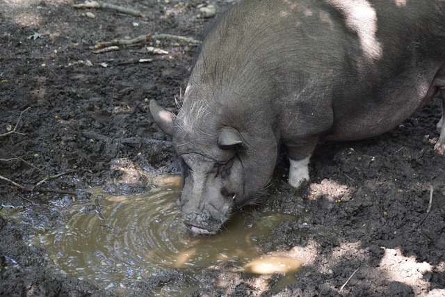 我们期待看 我们期待看