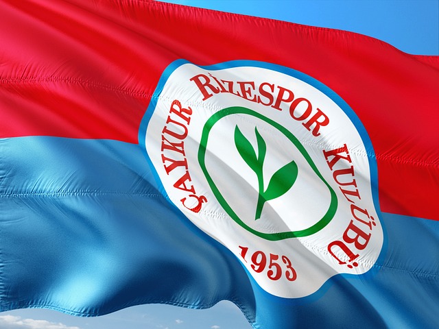 能阻挡一些 能阻挡一些