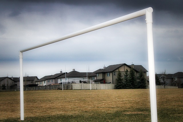 也是决定未 也是决定未