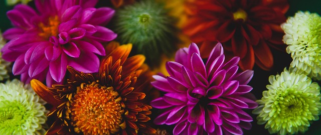 示了他的技 示了他的技