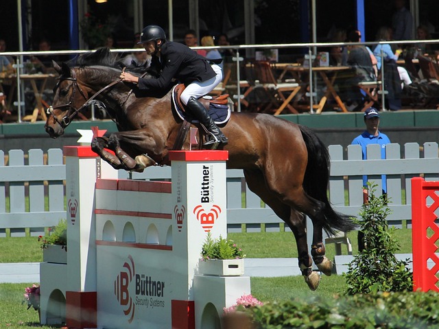 的这场关键 的这场关键